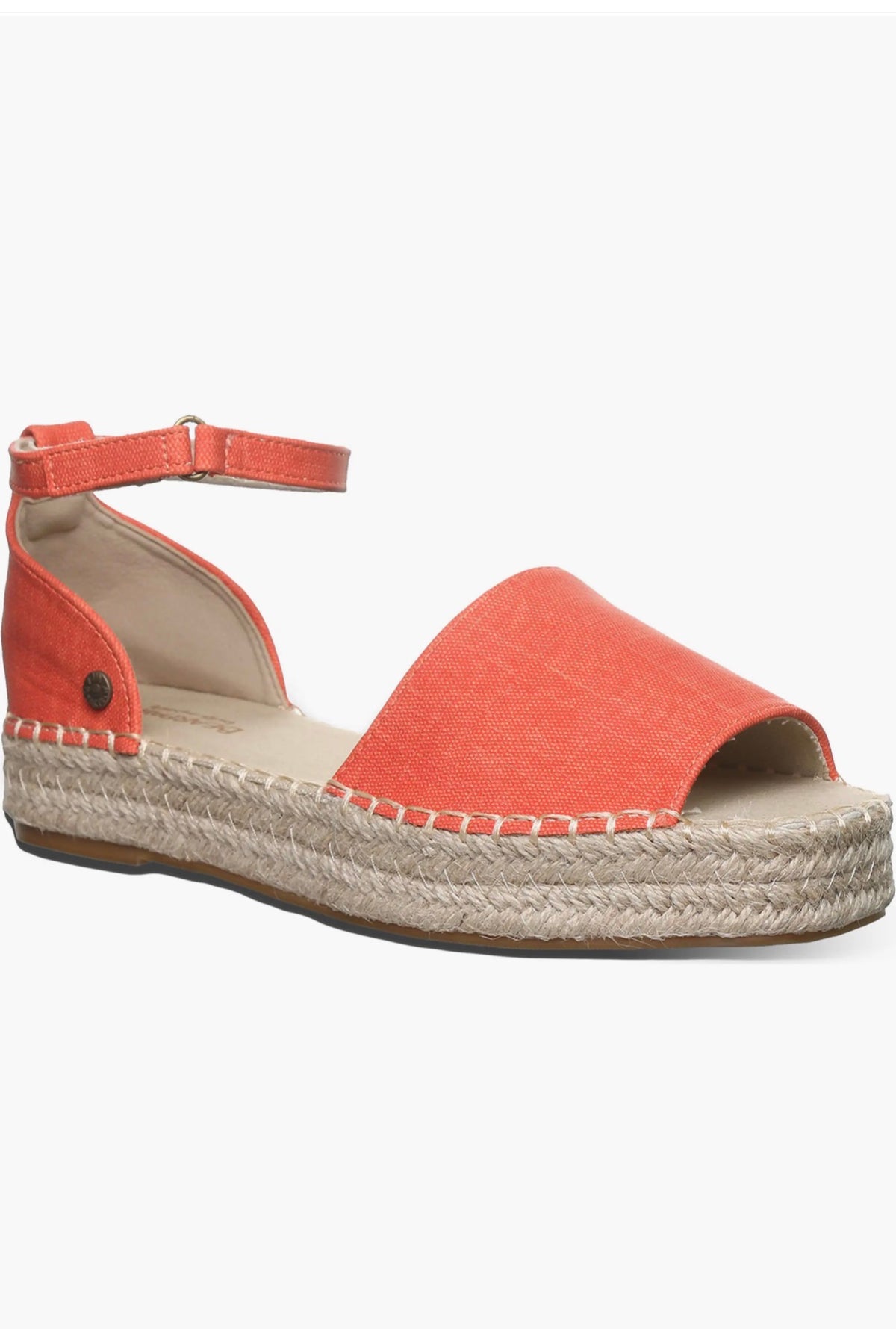 BearPaw