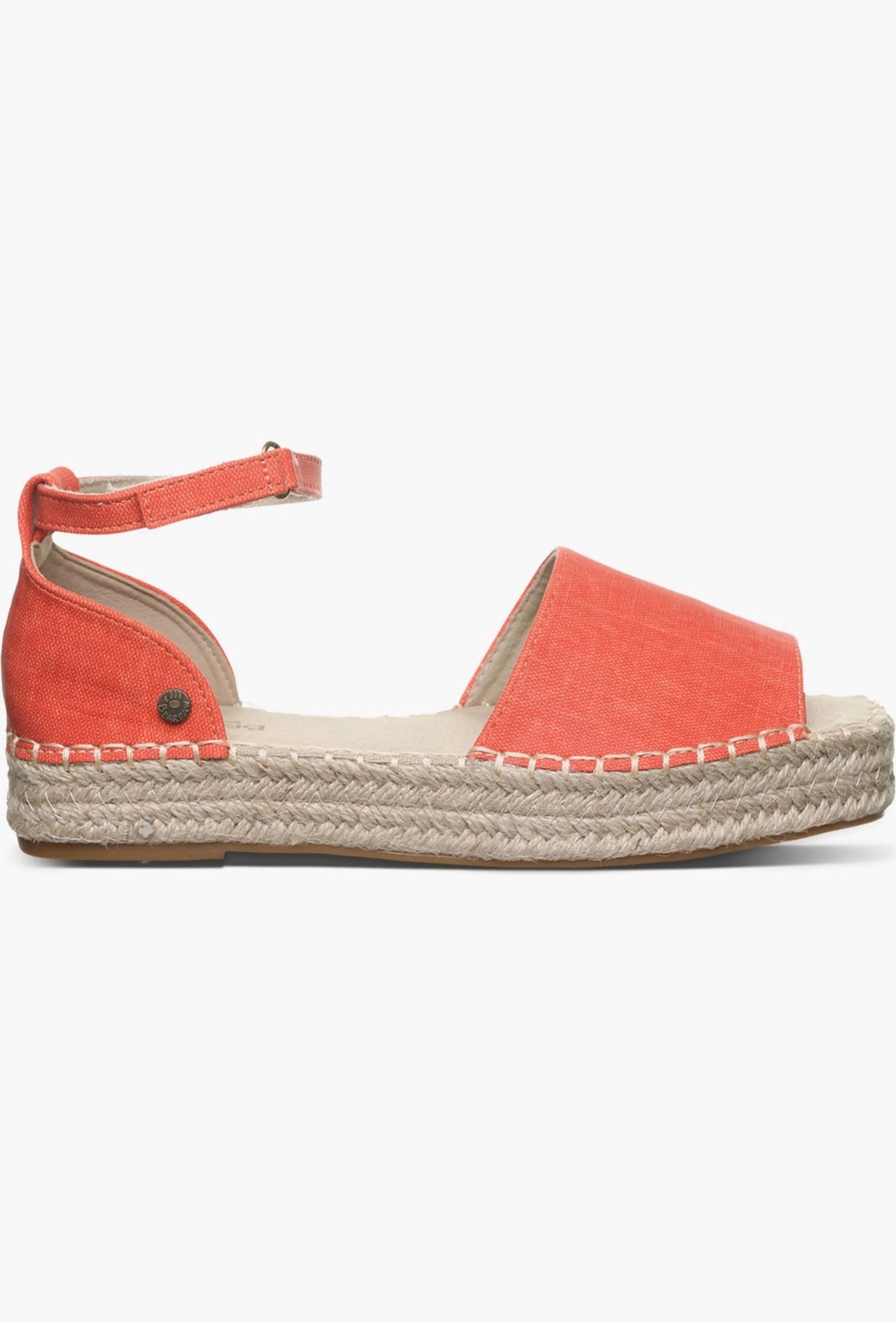 BearPaw