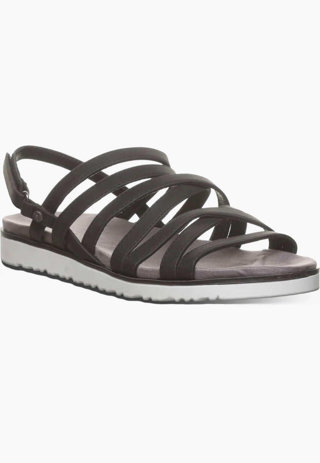 BearPaw