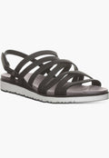 BearPaw