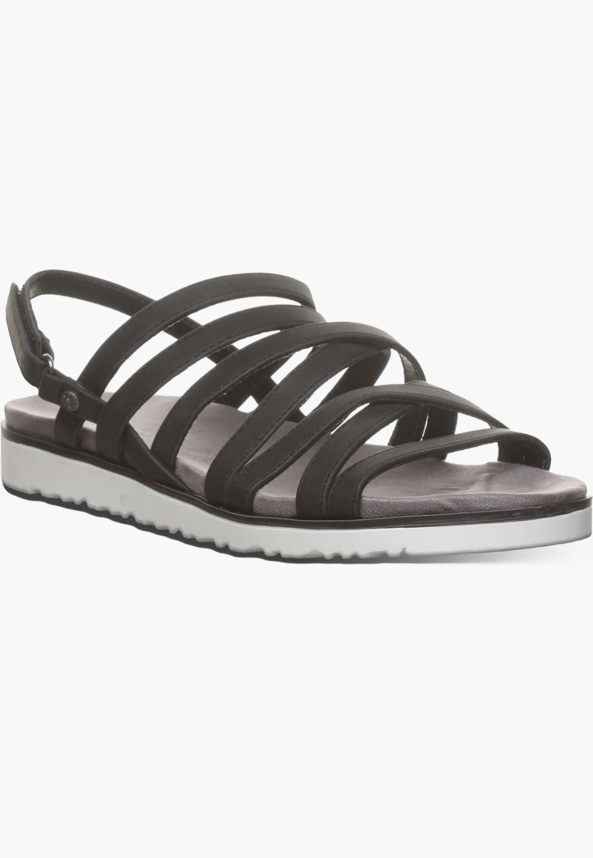 BearPaw