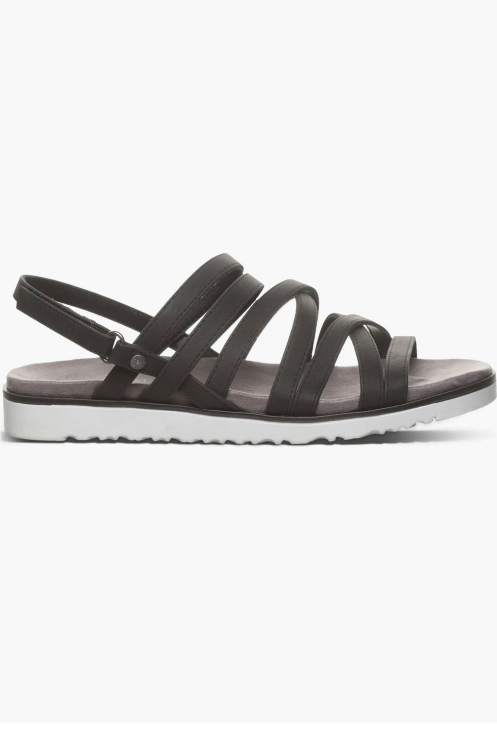 BearPaw