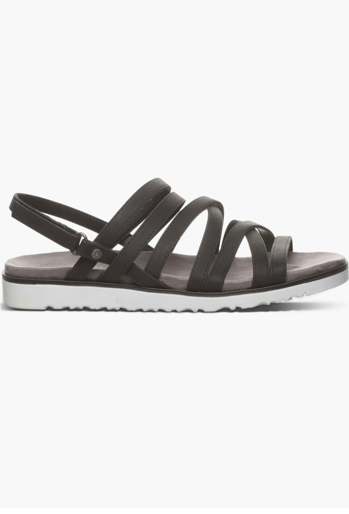 BearPaw