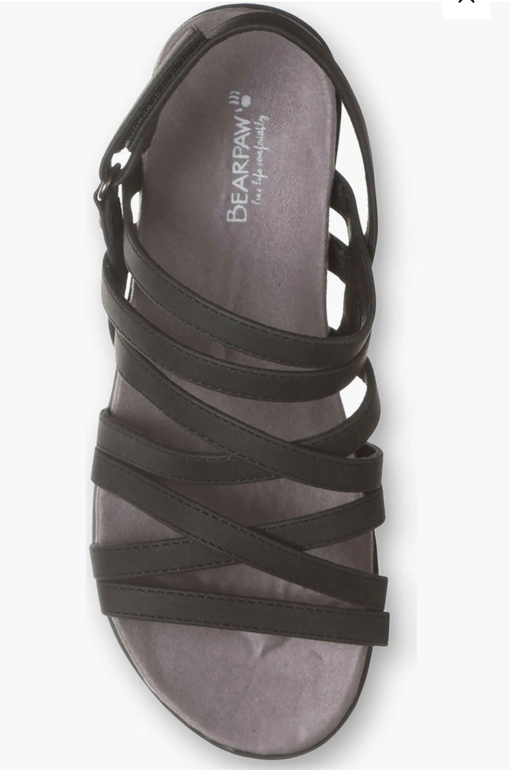 BearPaw